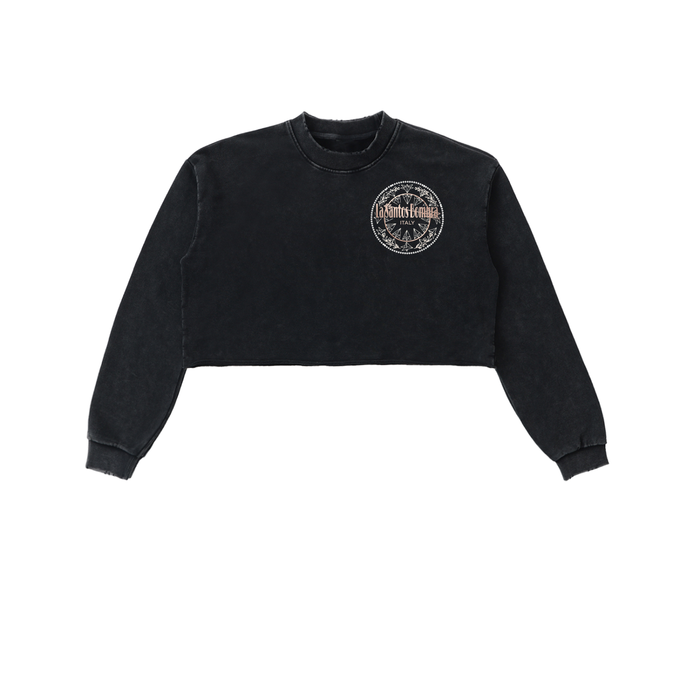 Cristallo Crest Crop Washed Sweatshirt