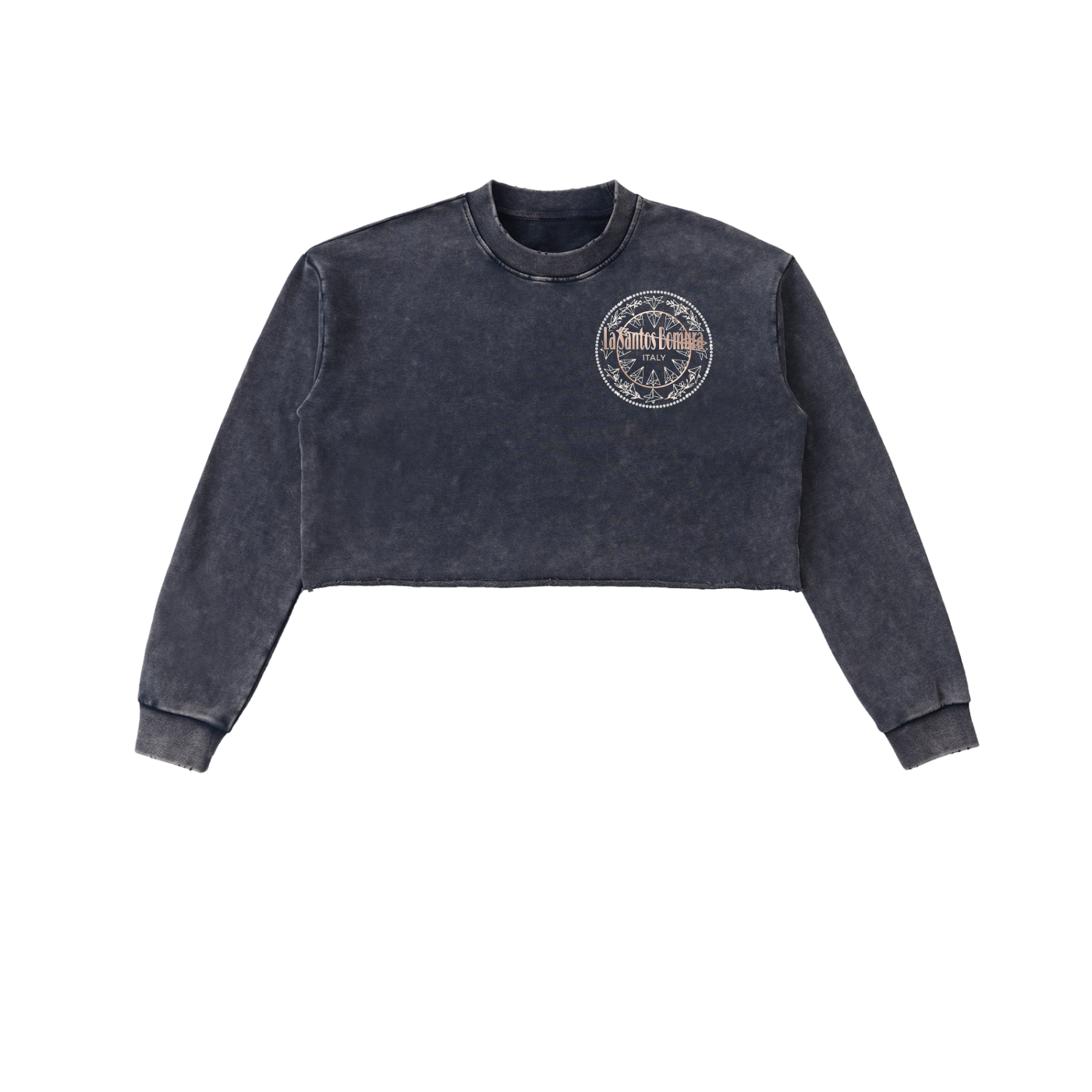 Cristallo Crest Crop Washed Sweatshirt
