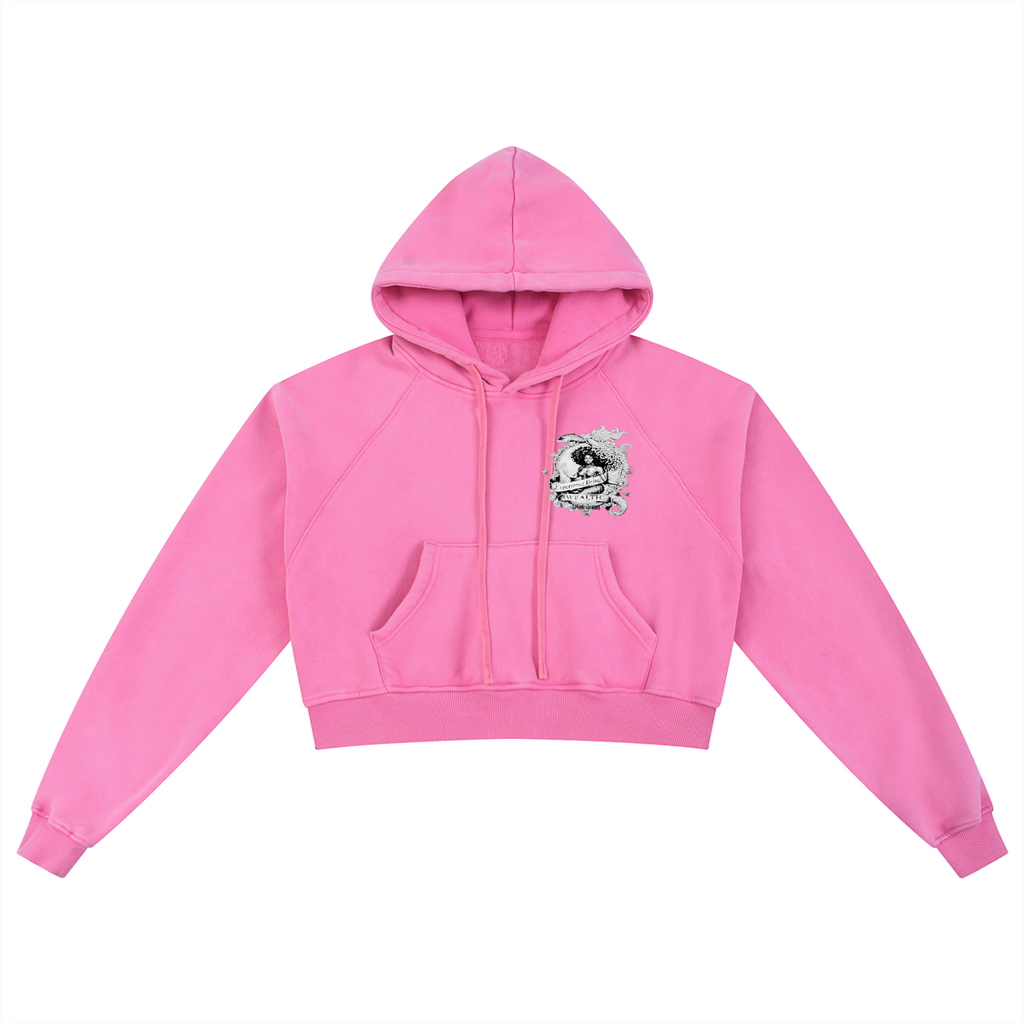 Snow Washed Cropped Hoodie