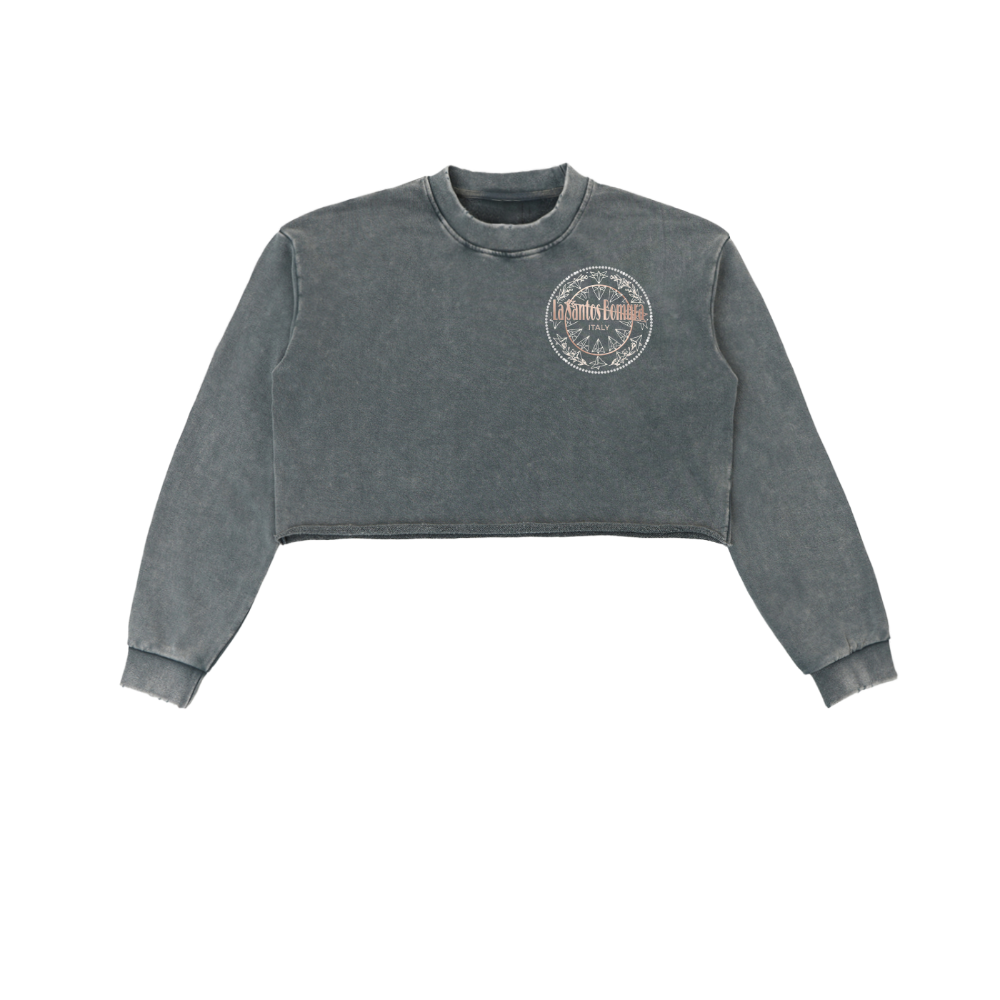 Cristallo Crest Crop Washed Sweatshirt